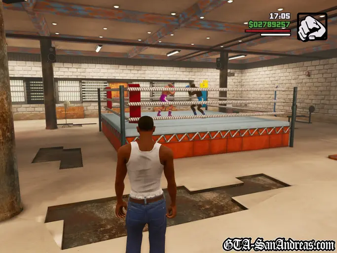 Las Venturas Gym Fighting - Screenshot 3