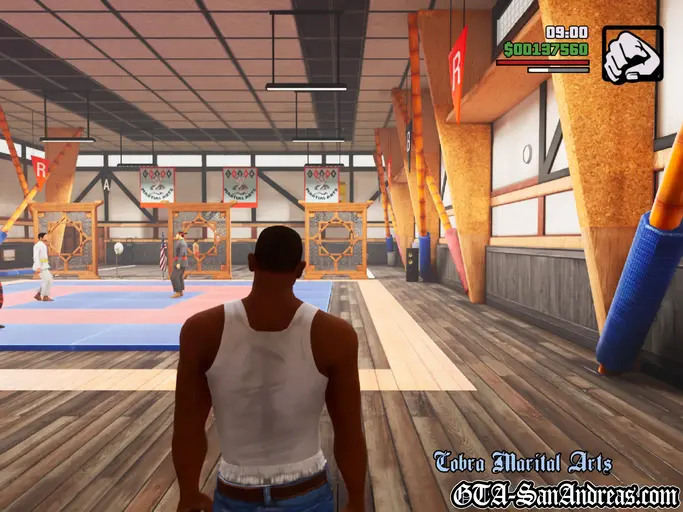 San Fierro Gym Fighting - Screenshot 3