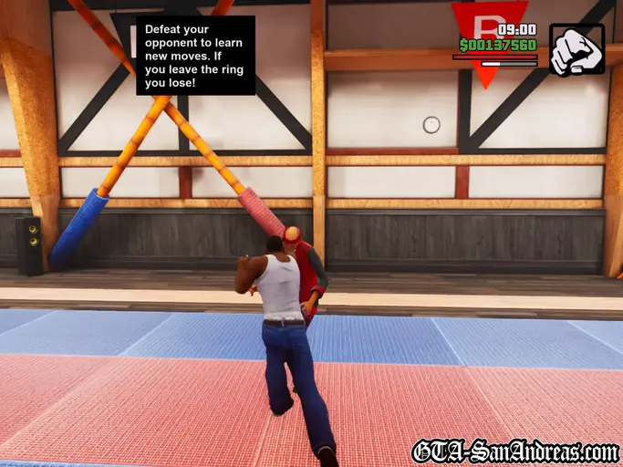 San Fierro Gym Fighting - Screenshot 8