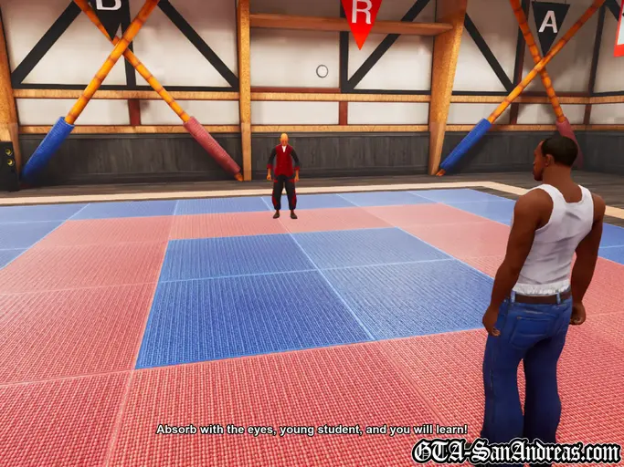 San Fierro Gym Fighting - Screenshot 9